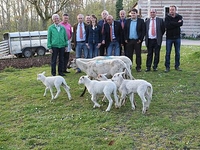 Afbeelding